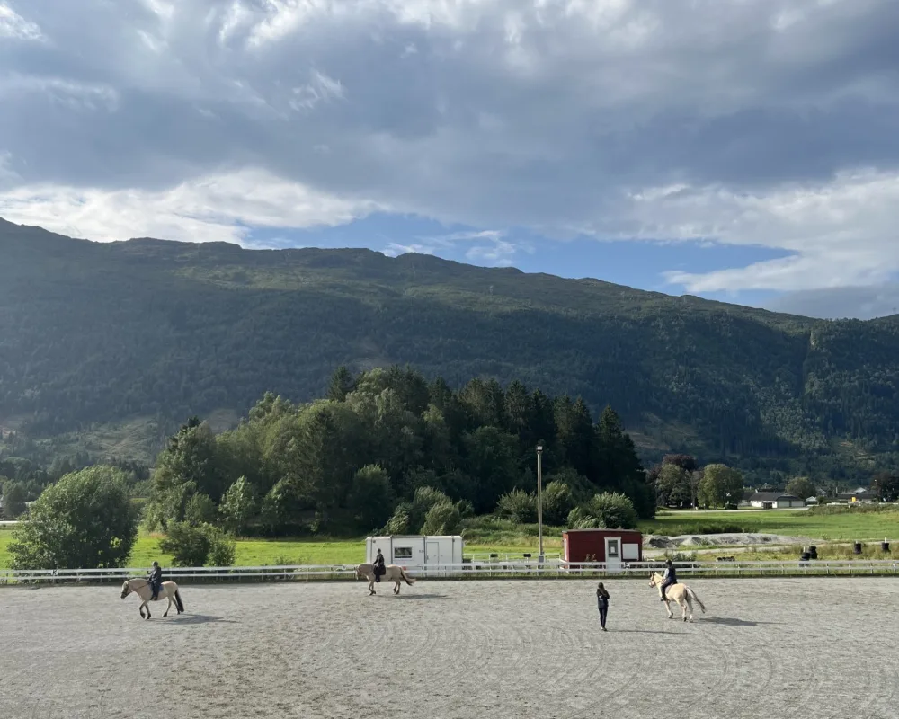  Bilete av 'Ridekurs'.