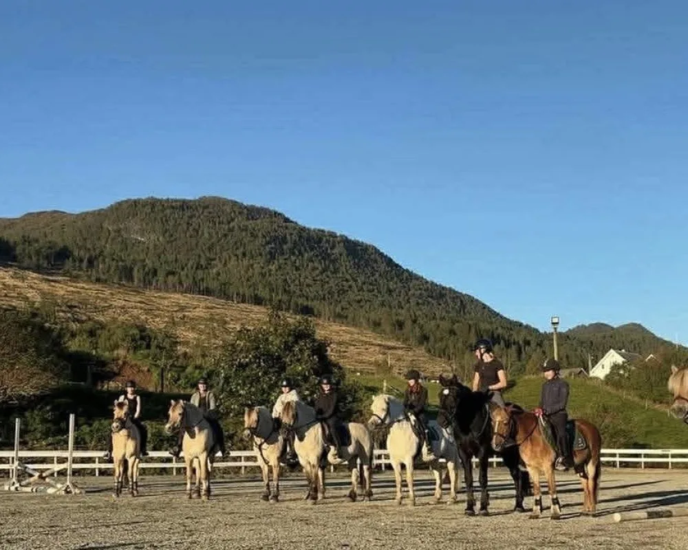  Bilete av 'Satsningsgruppe'.