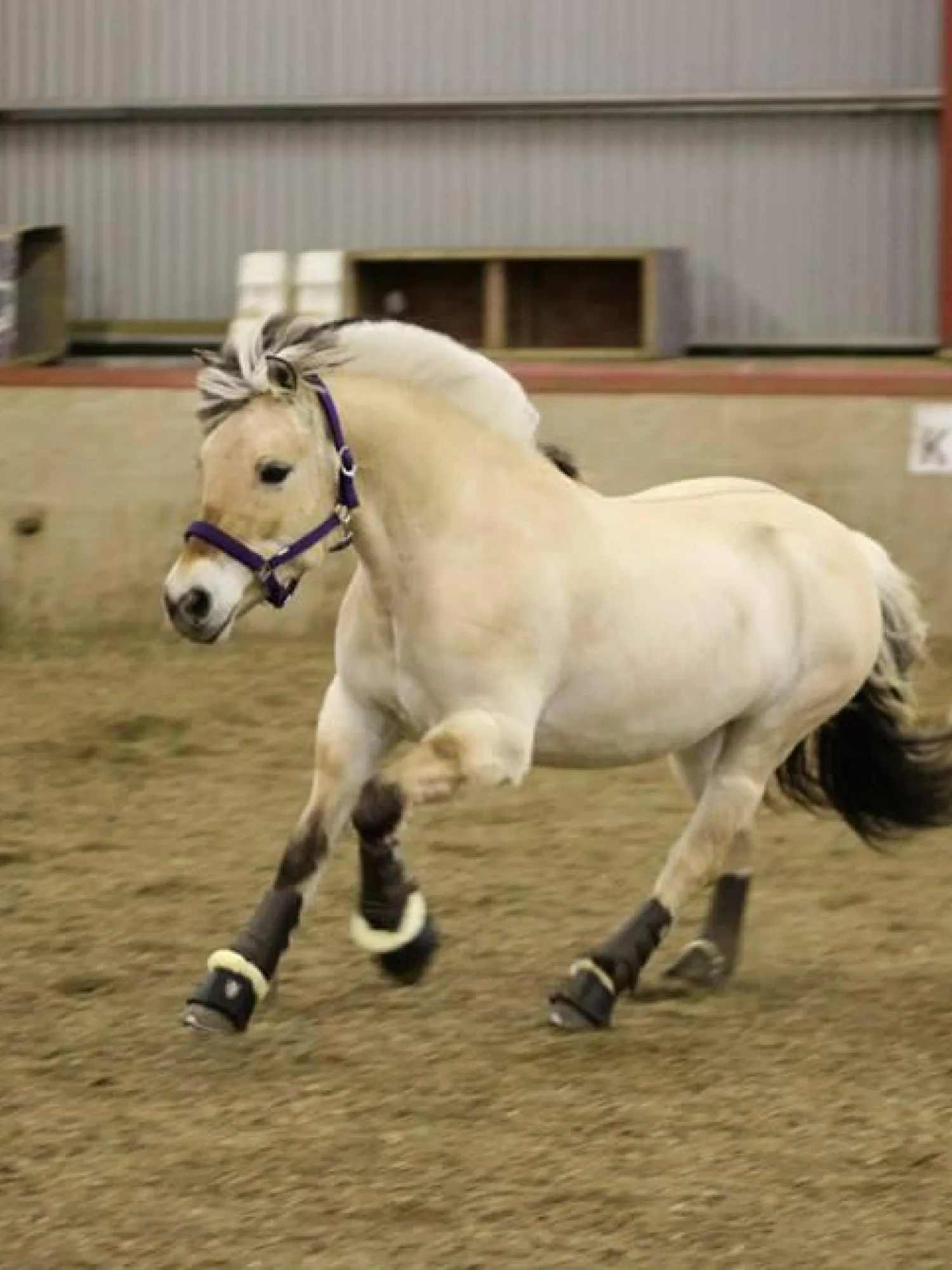  Bilete som er relevant for ''.